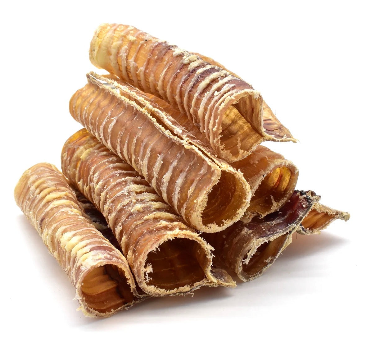 Buffalo Trachea