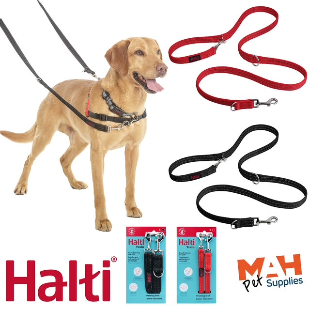Halti training lead - black