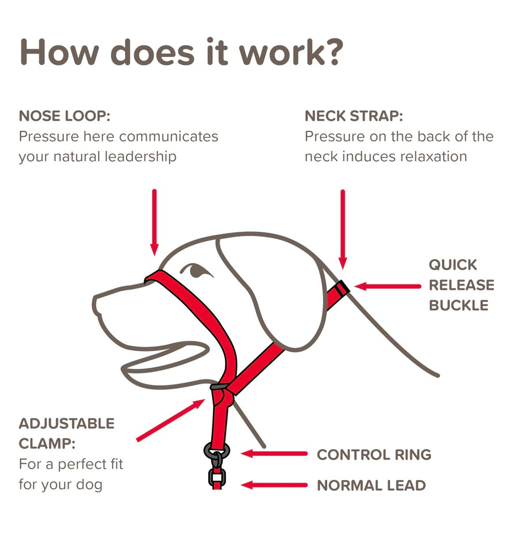 Beaphar gentle training lead
