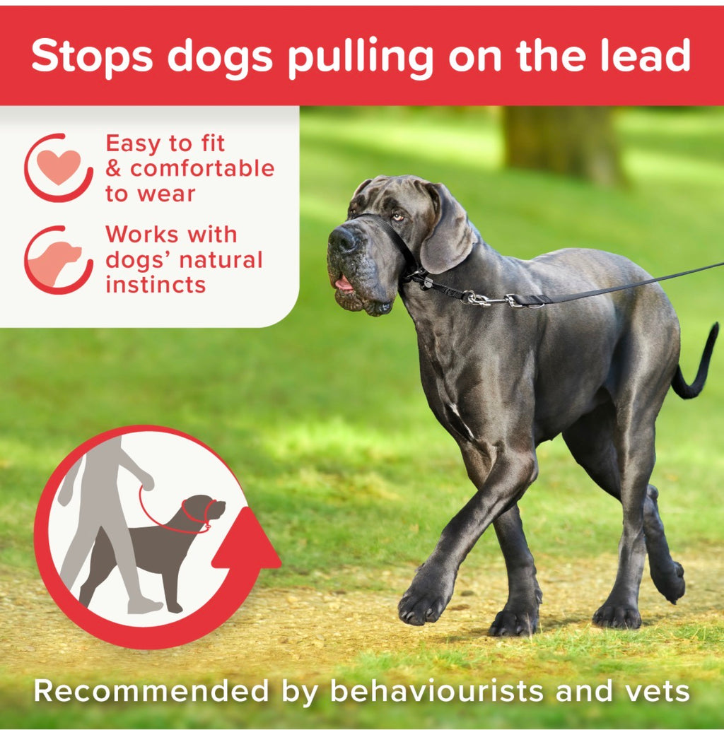 Beaphar gentle training lead