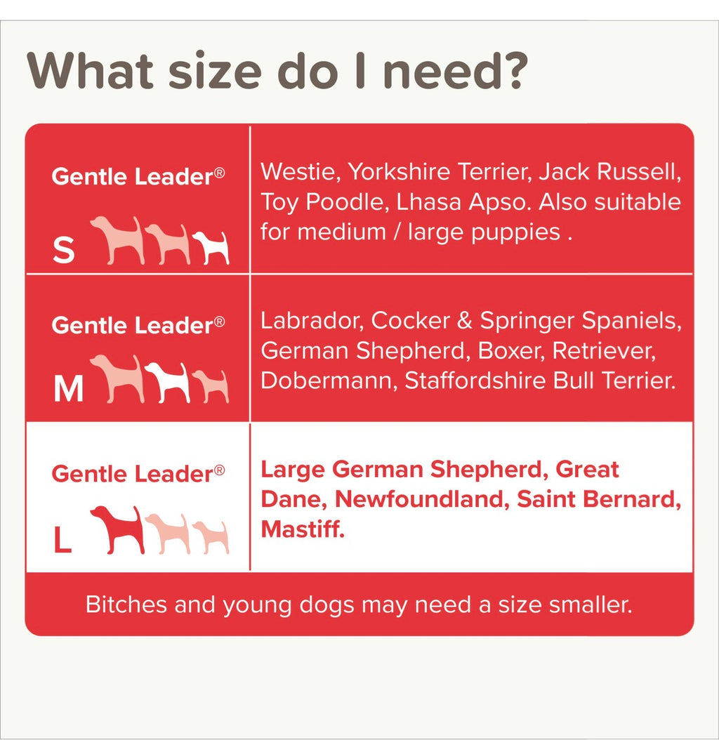 Beaphar gentle training lead